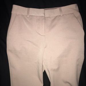 Express Columnist Work Pants